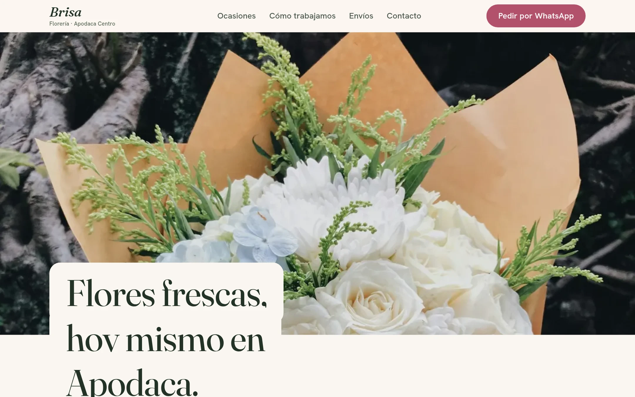 Página de Florería Brisa en escritorio