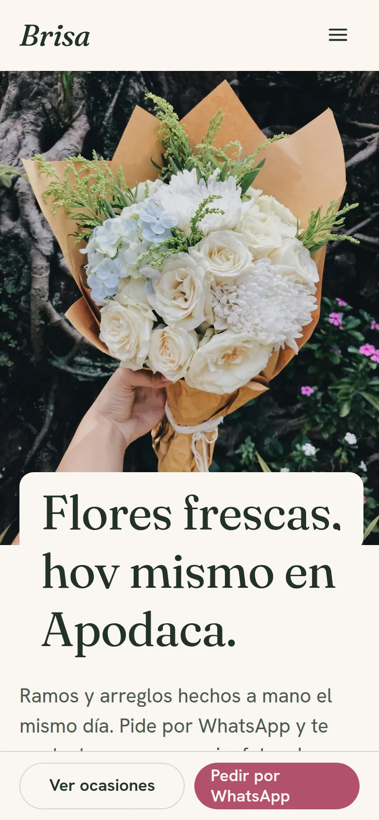 Página de Florería Brisa en celular
