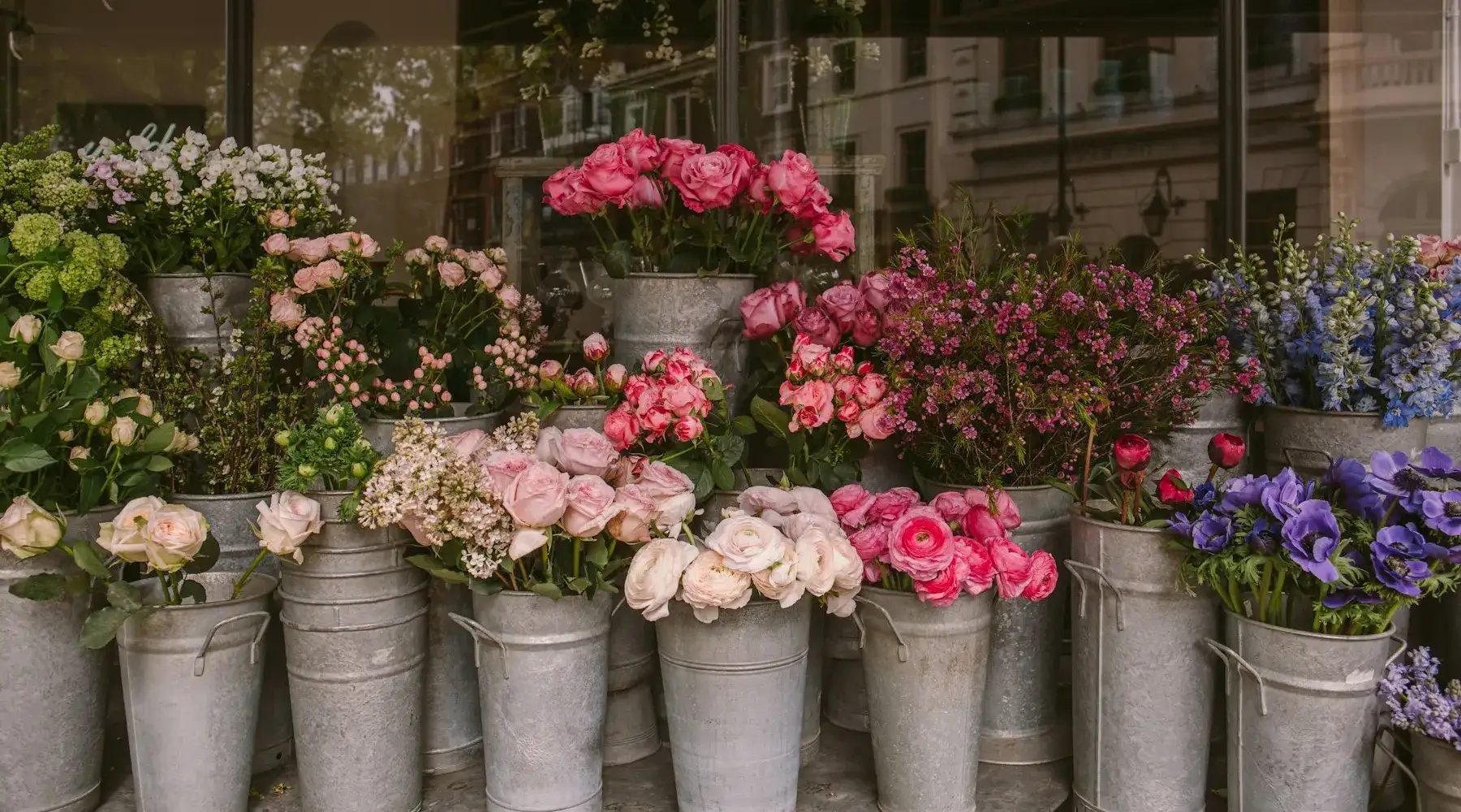 Cubetas con flores recién compradas