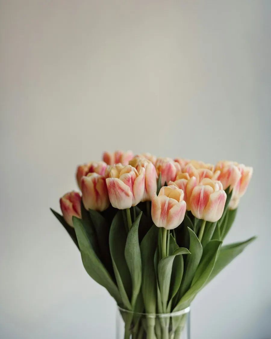 Ramo de diez tulipanes en papel kraft