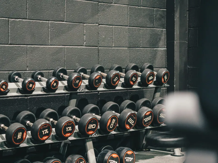 Mancuernas ordenadas en su rack, con tope naranja